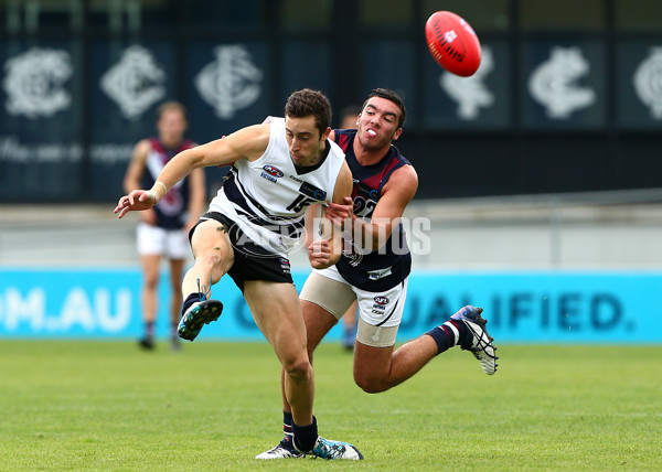 TAC 2016 RD 01 - Northern Knights v Sandringham Dragons - 424237