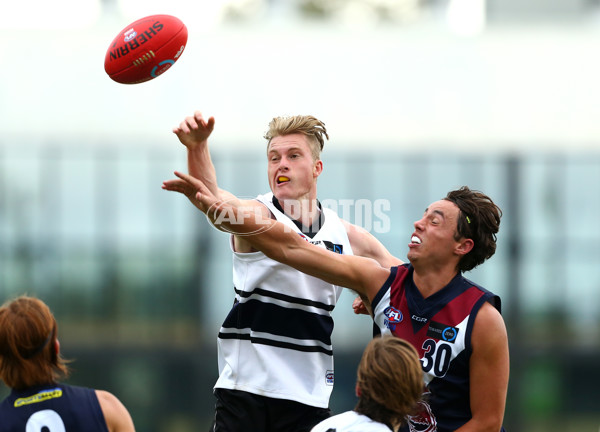 TAC 2016 RD 01 - Northern Knights v Sandringham Dragons - 424250