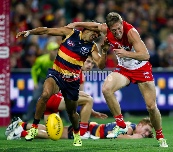 AFL 2016 Rd 04 - Adelaide v Sydney - 430664