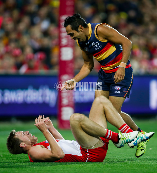 AFL 2016 Rd 04 - Adelaide v Sydney - 430668