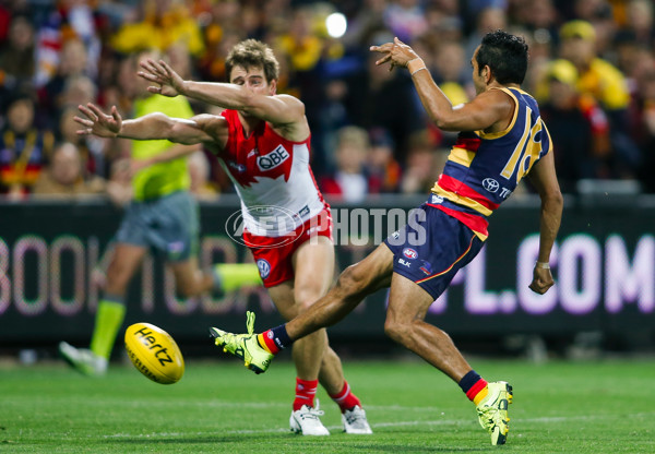 AFL 2016 Rd 04 - Adelaide v Sydney - 430773