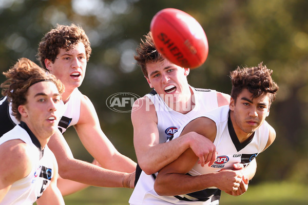 TAC 2016 Rd 07 - Northern Knights v North Ballarat - 438792