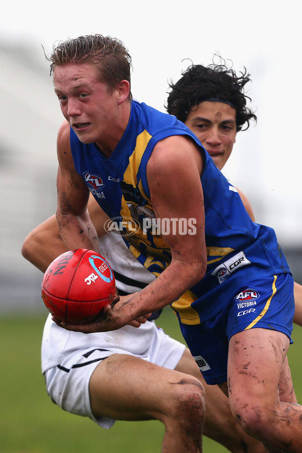 2016 TAC Cup Rd 9 - Western Jets v Northern Knights - 444343