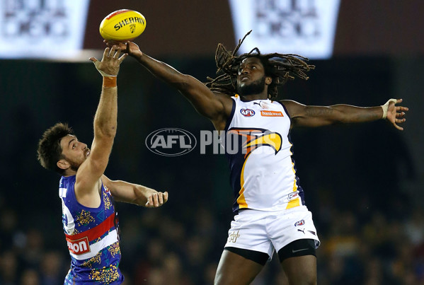 AFL 2016 Rd 11 - Western Bulldogs v West Coast Eagles - 445094
