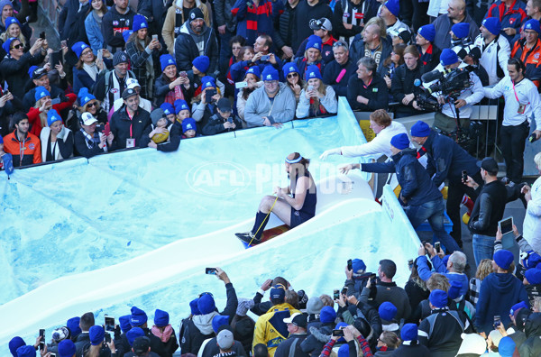AFL 2016 Rd 12 - Melbourne v Collingwood - 447569