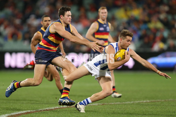AFL 2016 Rd 14 - Adelaide v North Melbourne - 449652