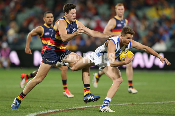 AFL 2016 Rd 14 - Adelaide v North Melbourne - 449651