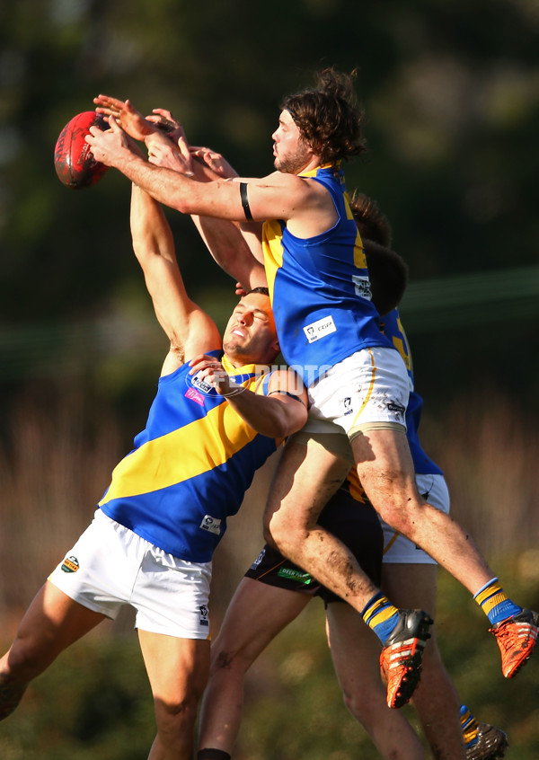 VFL 2016 Rd 14 - Box Hill Hawks v Williamstown - 453511