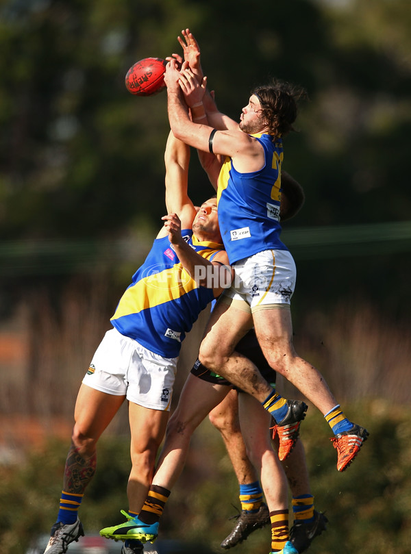 VFL 2016 Rd 14 - Box Hill Hawks v Williamstown - 453517