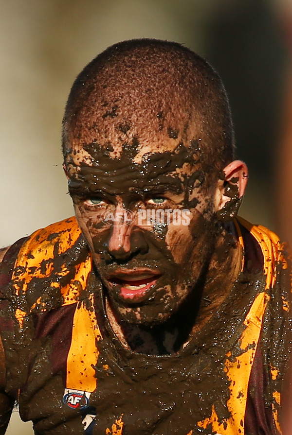 VFL 2016 Rd 14 - Box Hill Hawks v Williamstown - 453605