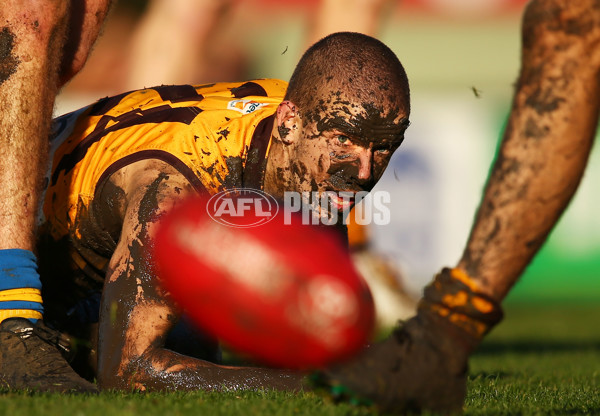 VFL 2016 Rd 14 - Box Hill Hawks v Williamstown - 453609