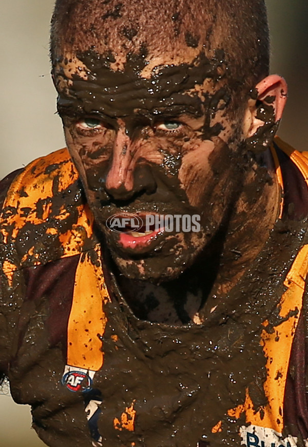 VFL 2016 Rd 14 - Box Hill Hawks v Williamstown - 453830