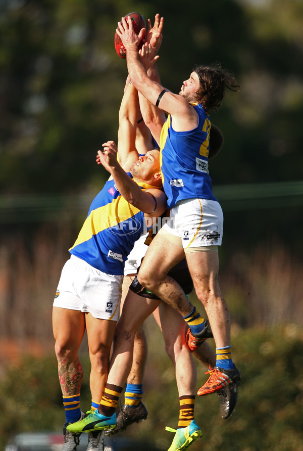 VFL 2016 Rd 14 - Box Hill Hawks v Williamstown - 454014