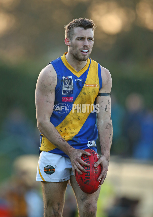 VFL 2016 Rd 14 - Box Hill Hawks v Williamstown - 454168