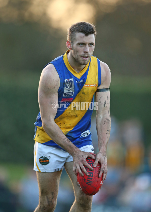 VFL 2016 Rd 14 - Box Hill Hawks v Williamstown - 454169