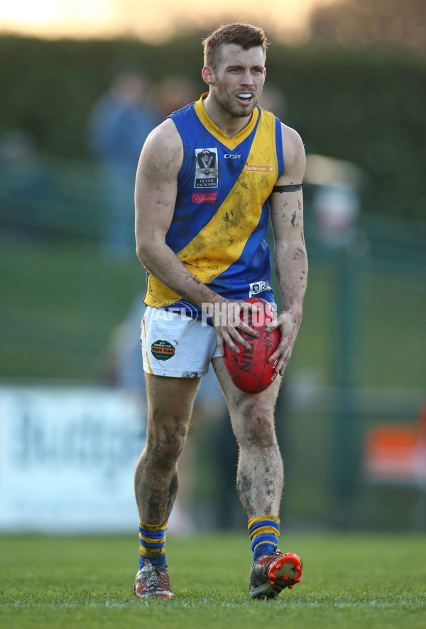 VFL 2016 Rd 14 - Box Hill Hawks v Williamstown - 454167