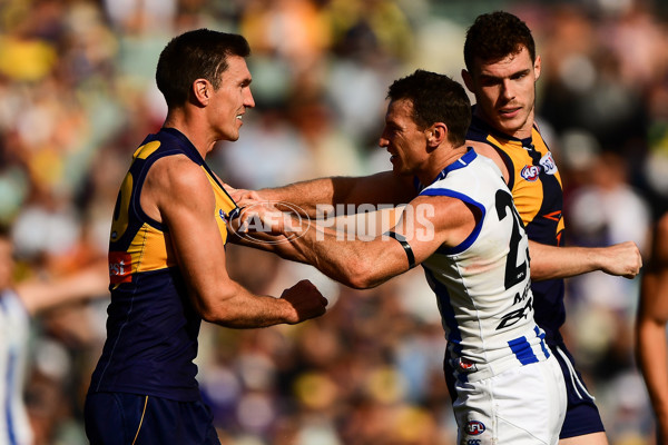 AFL 2016 Rd 16 - West Coast v North Melbourne - 454393