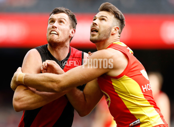 AFL 2016 Rd 21 - Essendon v Gold Coast - 463497