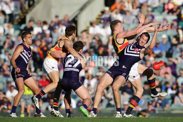 AFL 2016 Rd 21 - Fremantle v Adelaide - 463596