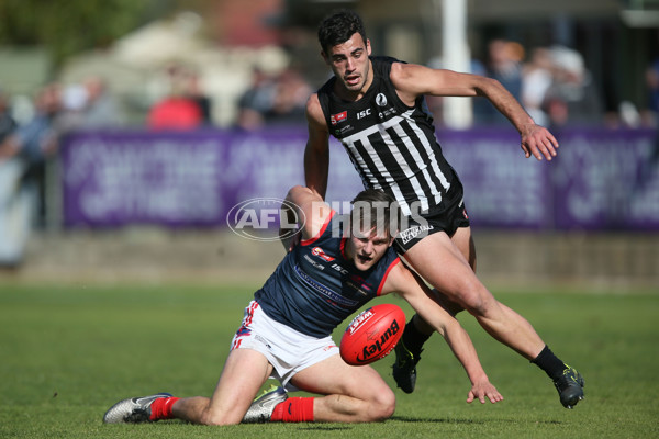 SANFL Rd 21 - Port Adelaide v Norwood - 464976