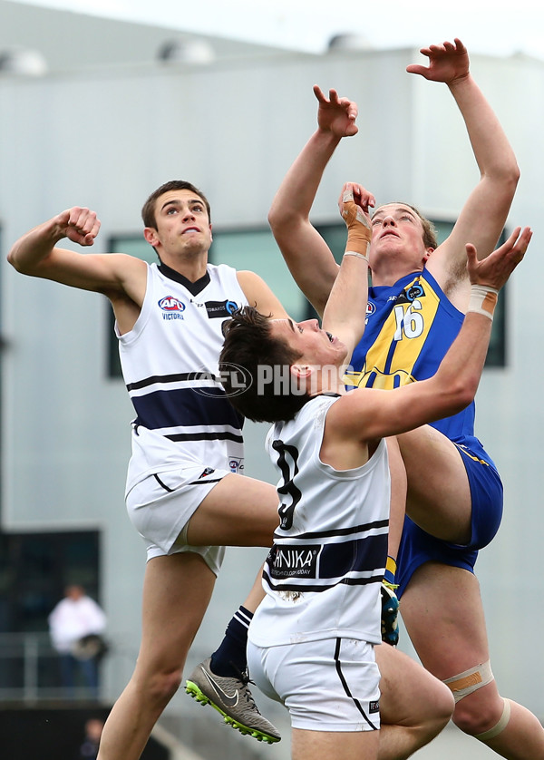 AFL 2016 Rd 18 - Northern Knights v Western Jets - 467475