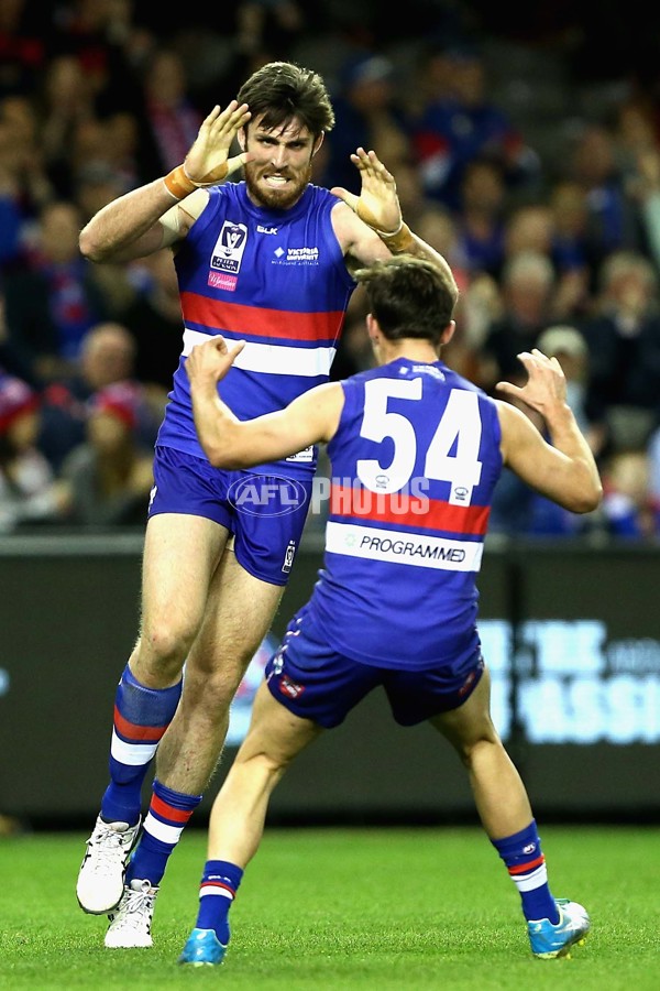 2016 VFL Grand Final - Footscray Bulldogs v Casey Scorpians - 473701