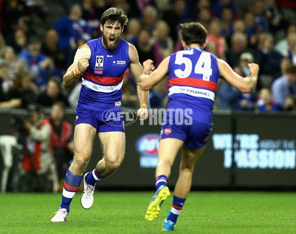 2016 VFL Grand Final - Footscray Bulldogs v Casey Scorpians - 473698