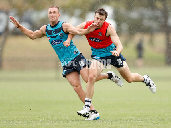 AFL 2017 Training - Geelong Cats 130117 - 483152