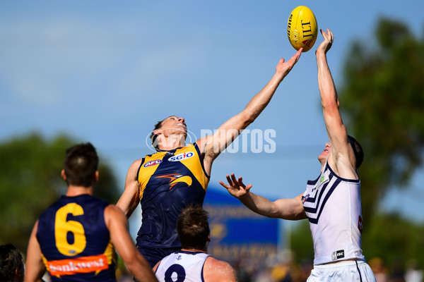 AFL 2017 JLT Community Series - West Coast v Fremantle - 489260