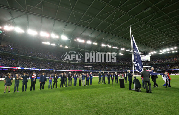 AFL 2017 Round 02 - Western Bulldogs v Sydney - 496945