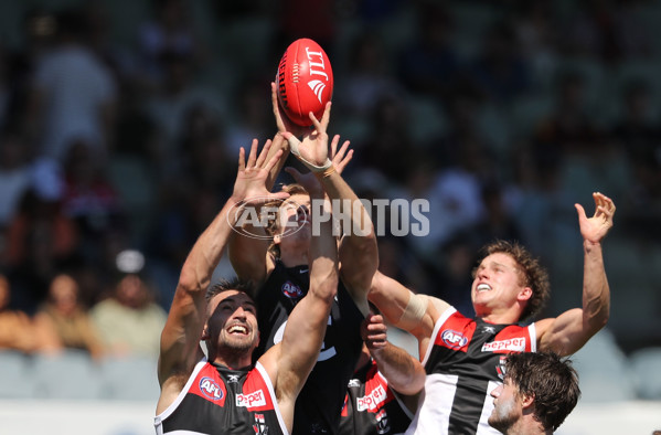 AFL 2017 JLT Community Series - Carlton v St Kilda - 490464