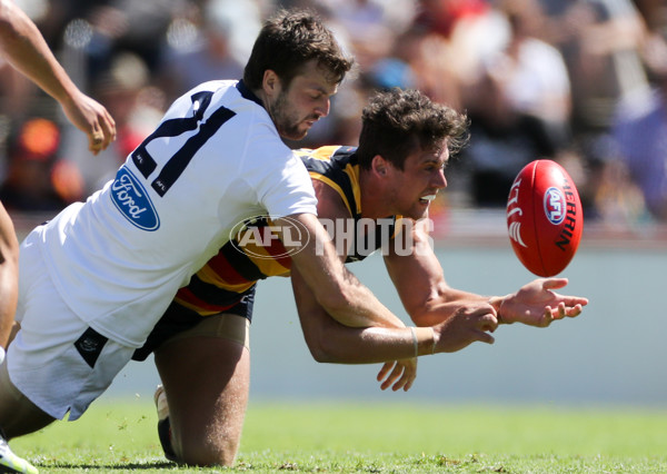 AFL 2017 JLT Community Series - Adelaide v Geelong - 490930