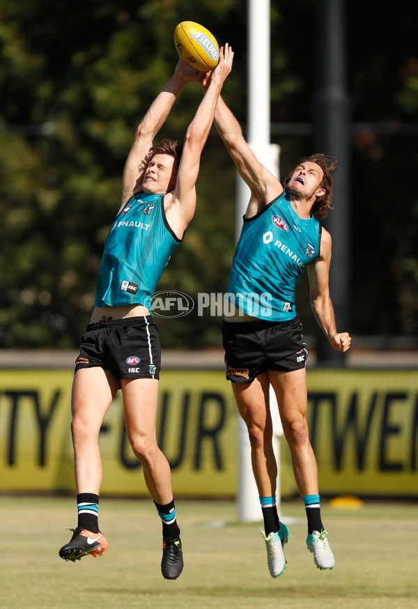 AFL 2017 Training - Port Adelaide 090317 - 492606