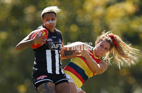 AFLW 2017 Rd 07 - Collingwood v Adelaide - 493180