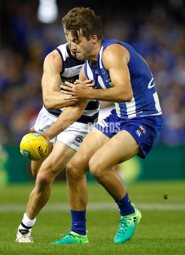 AFL 2017 Round 02 - Geelong v North Melbourne - 498008