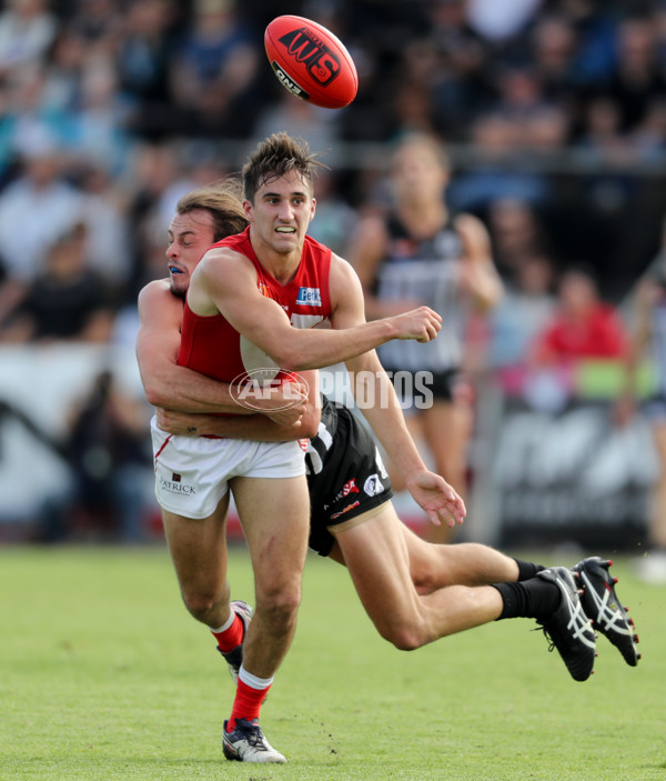 SANFL 2017 Round 03 - Port Adelaide v North Adelaide - 504353