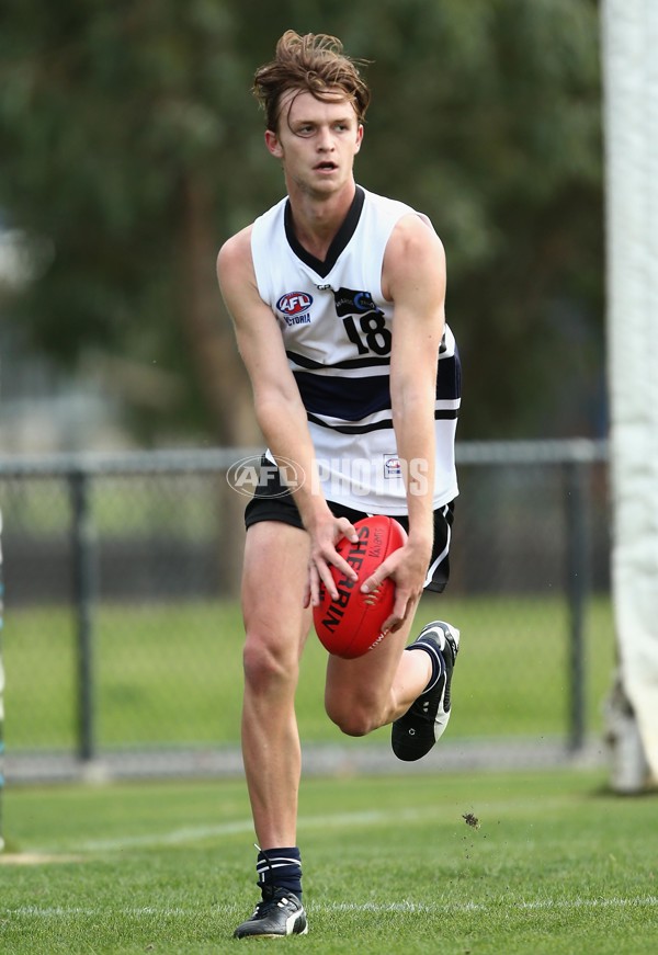 TAC Cup 2017 Round 05 - Northern Knights v Murray Bushrangers - 504723