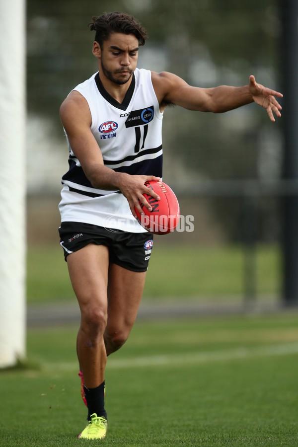 TAC Cup 2017 Round 05 - Northern Knights v Murray Bushrangers - 504689