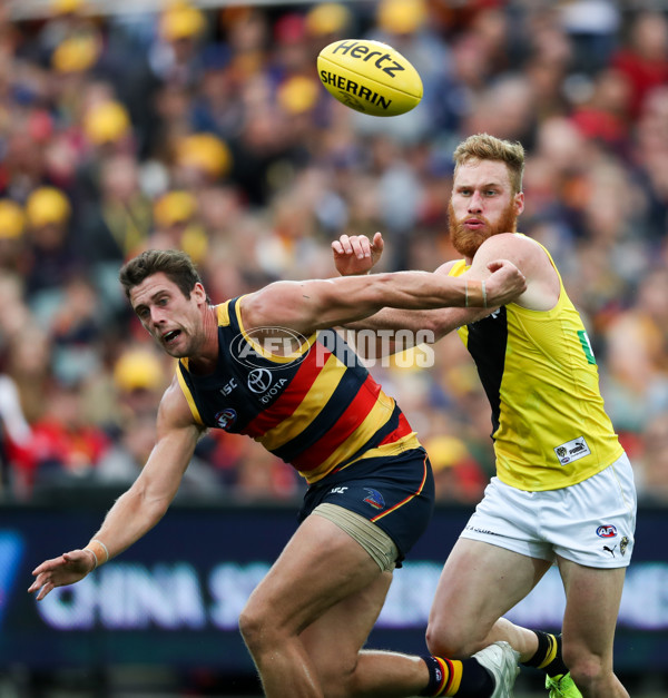 AFL 2017 Round 06 - Adelaide v Richmond - 507539