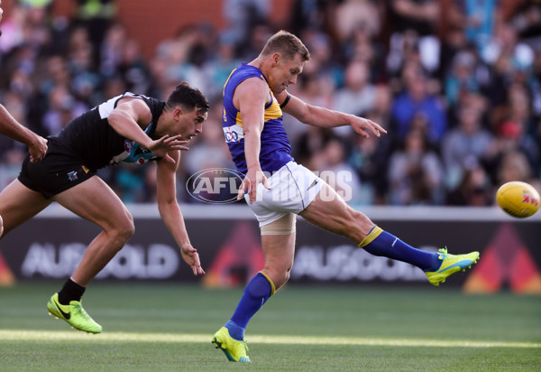 AFL 2017 Round 07 - Port Adelaide v West Coast - 508987