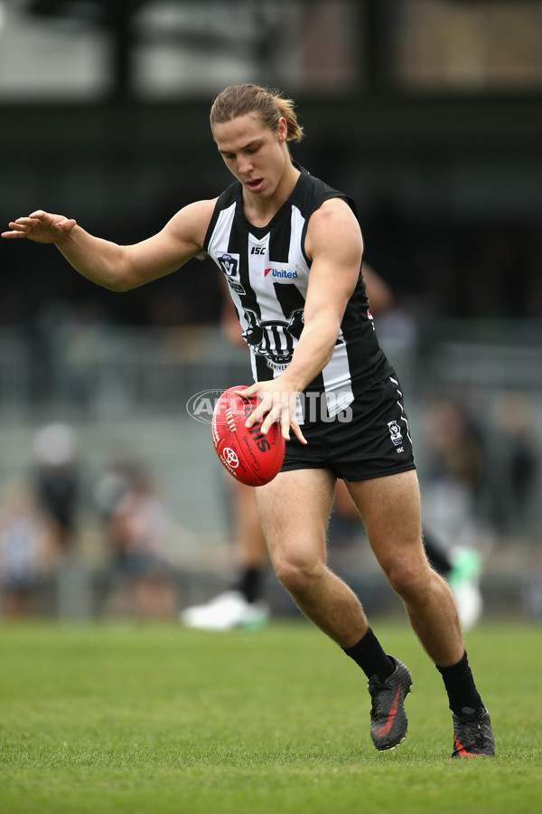 VFL 2017 Round 04 - Collingwood v Northern Blues - 509225