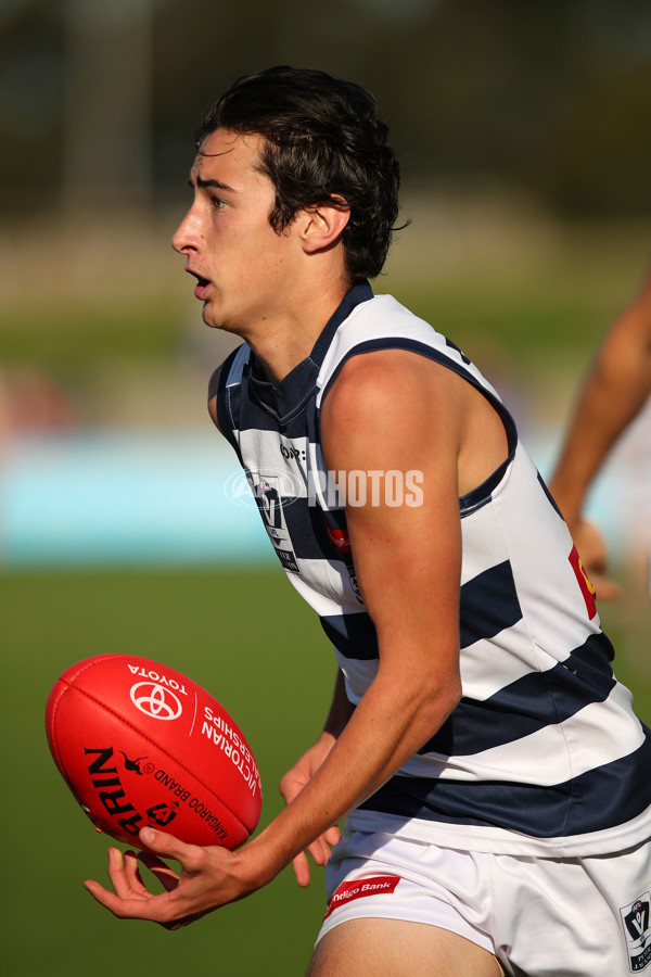 VFL 2017 Round 06 - Footscray v Geelong - 513103