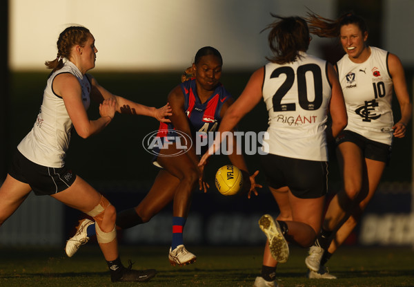 VFLW Rd 6 - Port Melbourne v Carlton - A-28252227
