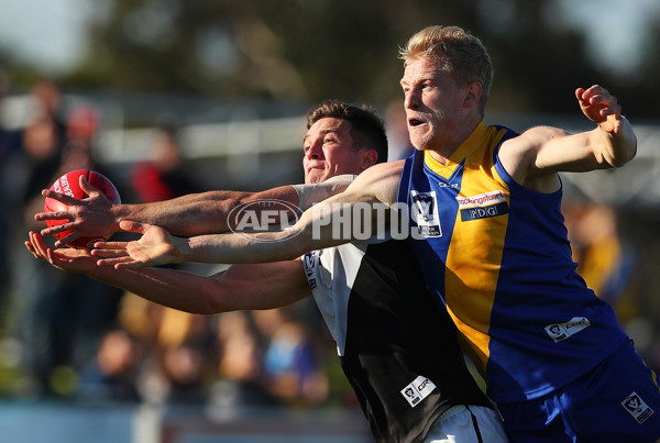 VFL 2017 Rd 09 - Williamstown v North Ballarat - 521331