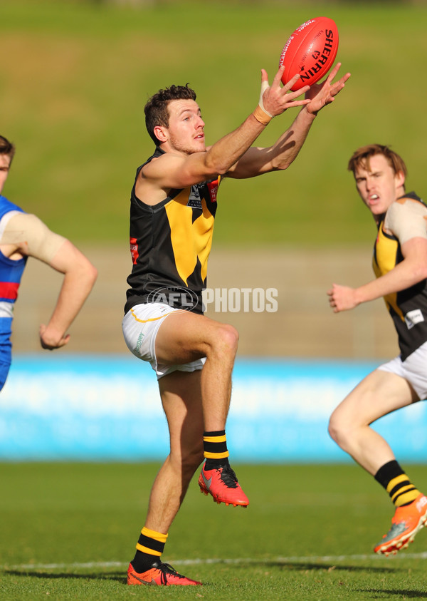 VFL 2017 Round 10 - Footscray v Werrribee - 522626