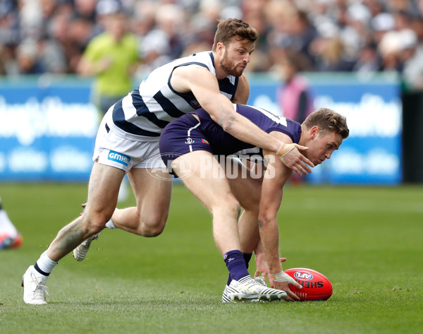 AFL 2017 Round 14 - Geelong v Fremantle - 522897