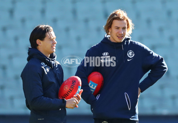 AFL 2017 Round 15 - Carlton v Adelaide - 524497