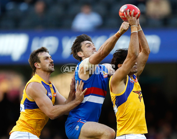 AFL 2017 Round 15 - Western Bulldogs v West Coast - 524610