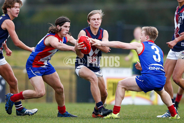 TAC Cup 2017 Round 12 - Gippsland v Sandringham - 528346