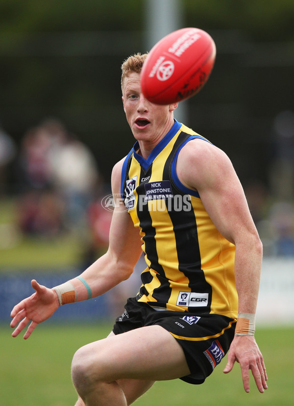 VFL 2017 Round 12 - Sandringham v Footscray - 529779